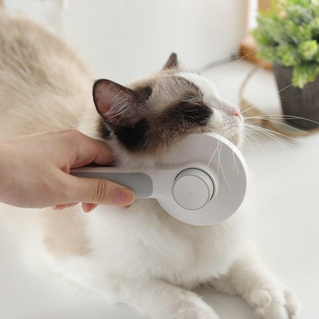 escova pet hair escova removedora de pelos soltos escova removedora de pelos removedor de pelos soltos pente removedor de pelos  pente removedor de pelos soltos